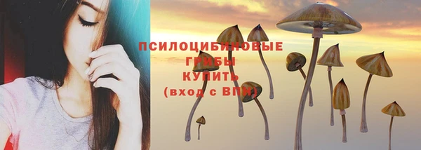 первитин Няндома