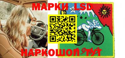 крисы Апшеронск