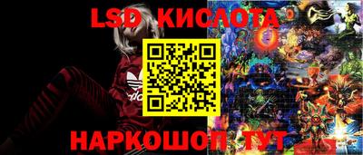 тгк Бийск