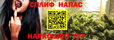 крисы Апшеронск