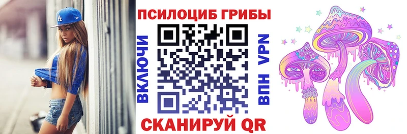 Псилоцибиновые грибы Psilocybe  Владимир 