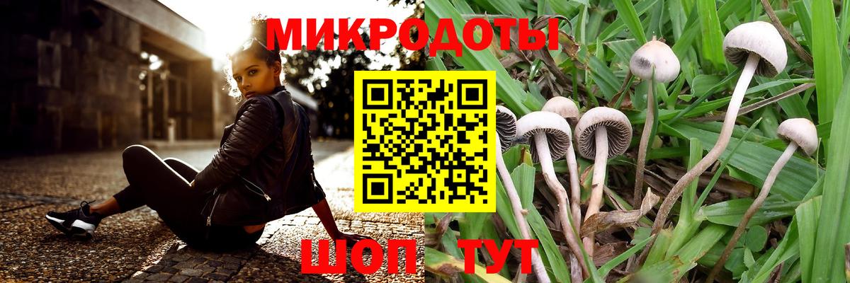 Галлюциногенные грибы Cubensis  Владимир 